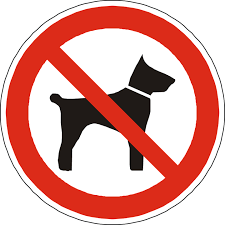 dog not allowed