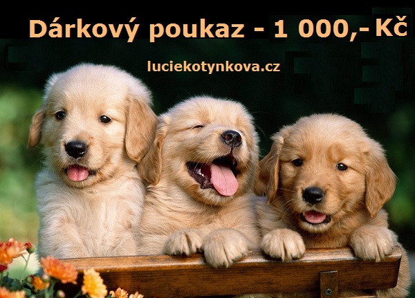 darkovy-poukaz-1-000