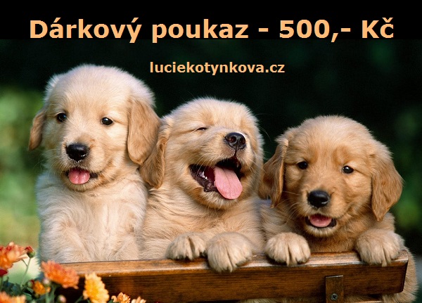 darkovy-poukaz-500