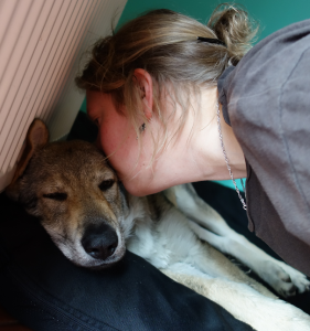 Co při výchově psa neopomenout?