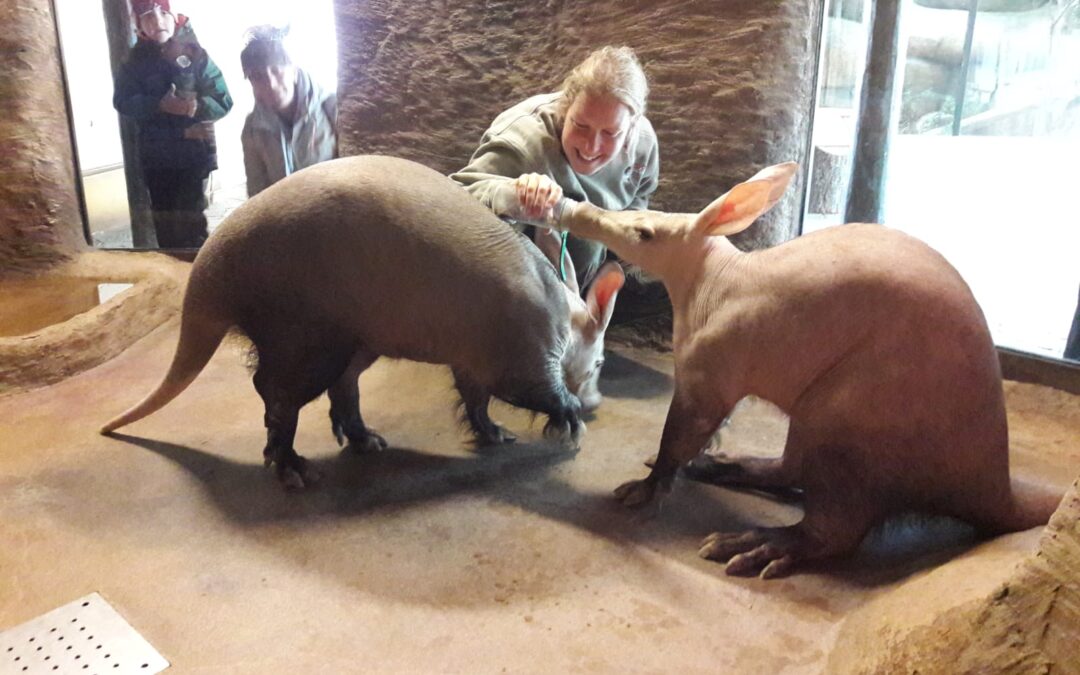 Od 1.1.2026 přerušená živnost!