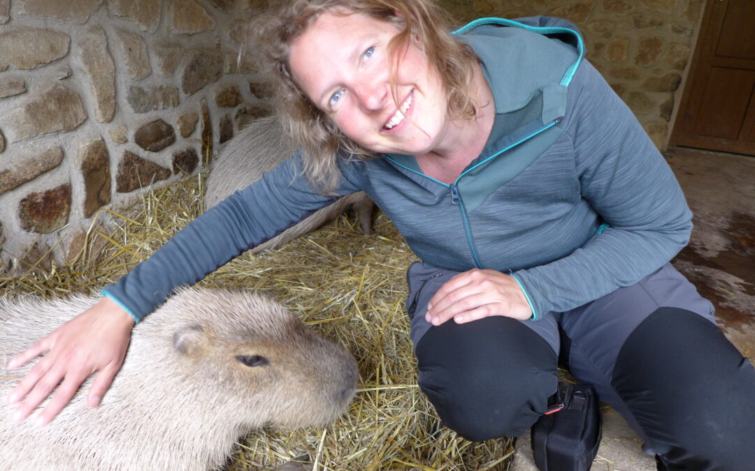 🎄 Vánoční pozdrav a osobní oznámení ❤️